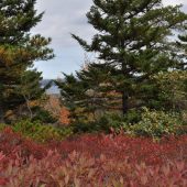  Acadia National Park, Maine